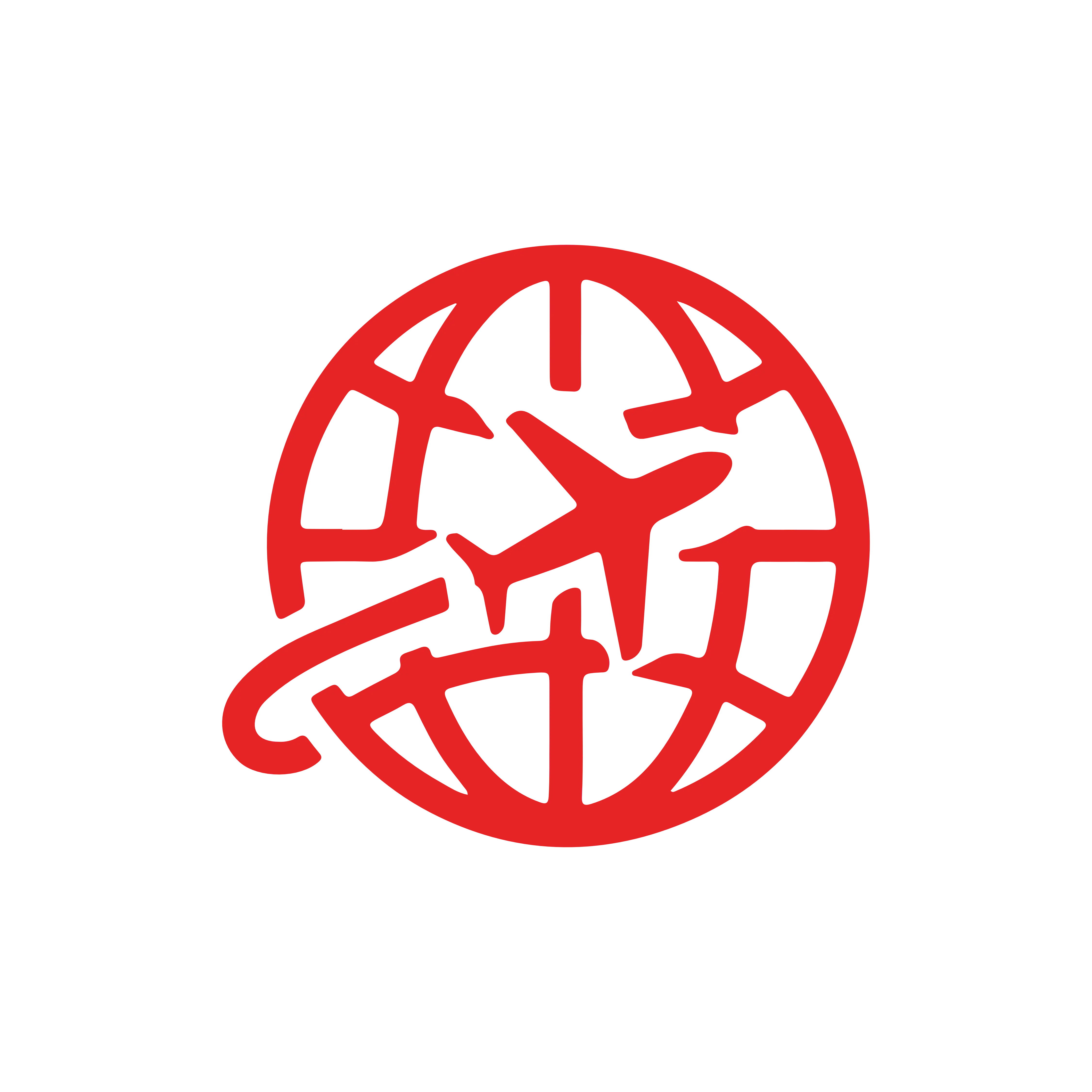 Logo First Logistcs Cargo internatinal S.A.S por Responsive Disign